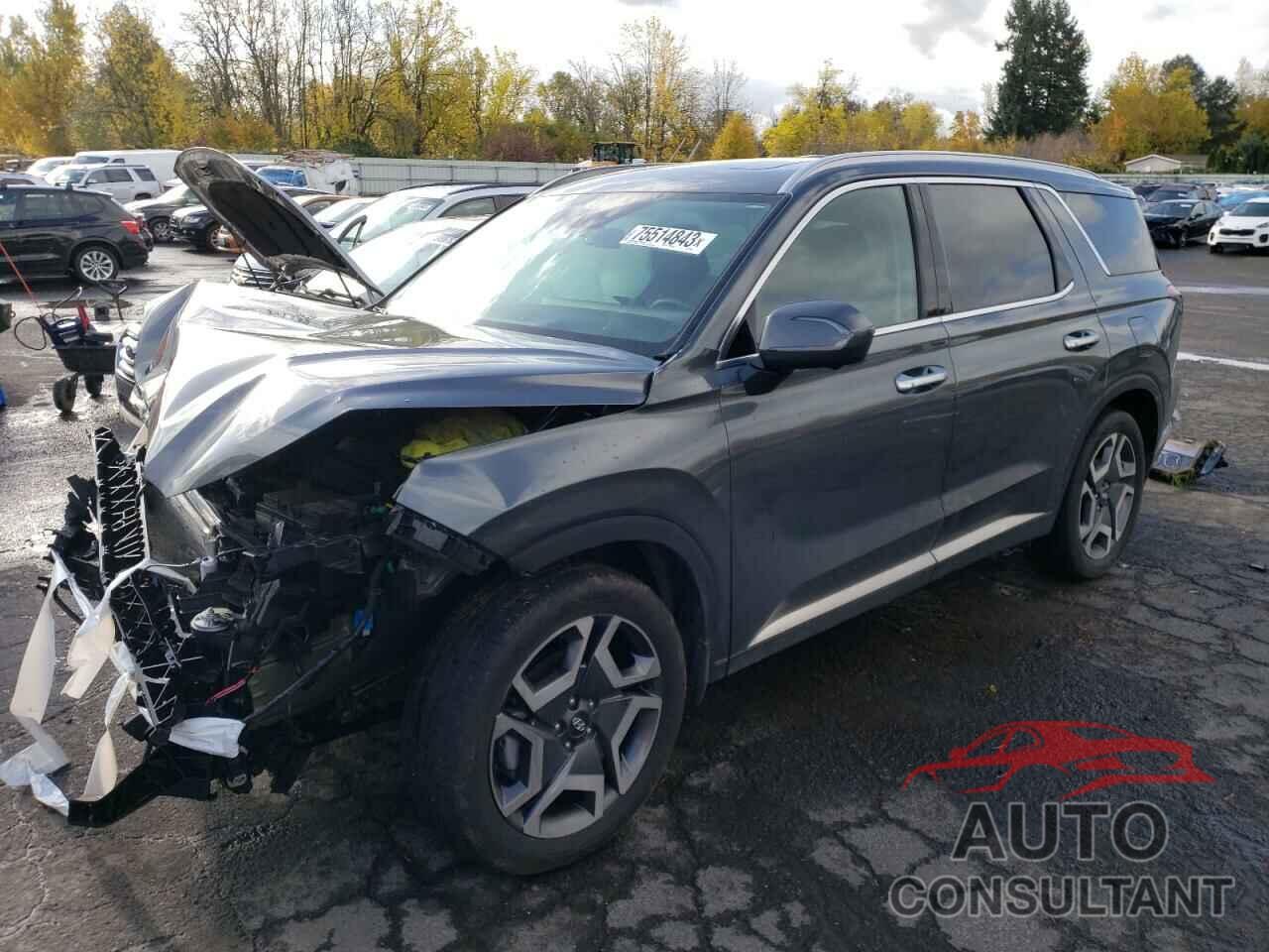 HYUNDAI PALISADE 2023 - KM8R5DGE5PU576540