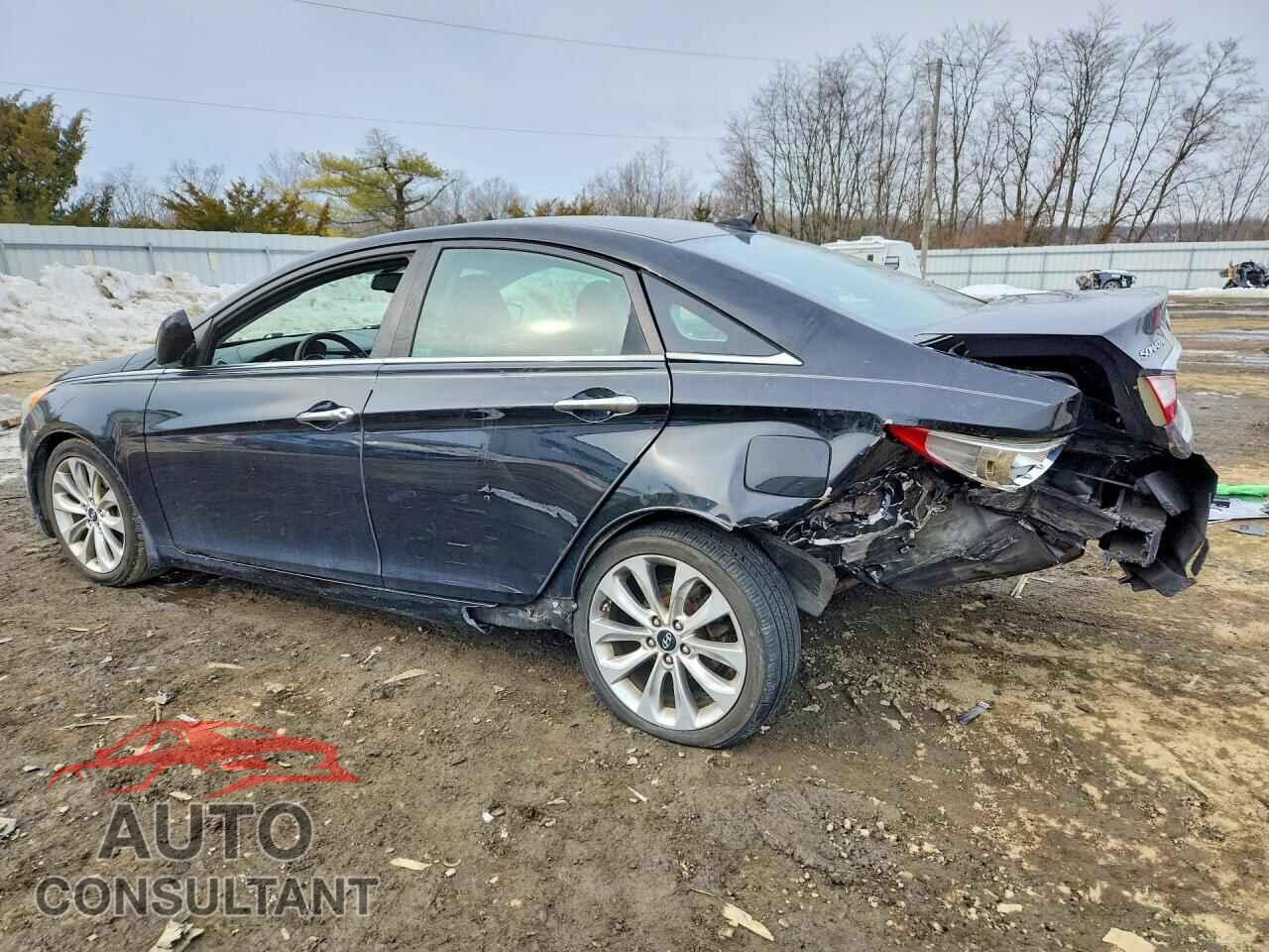 HYUNDAI SONATA 2013 - 5NPEC4AC2DH526099