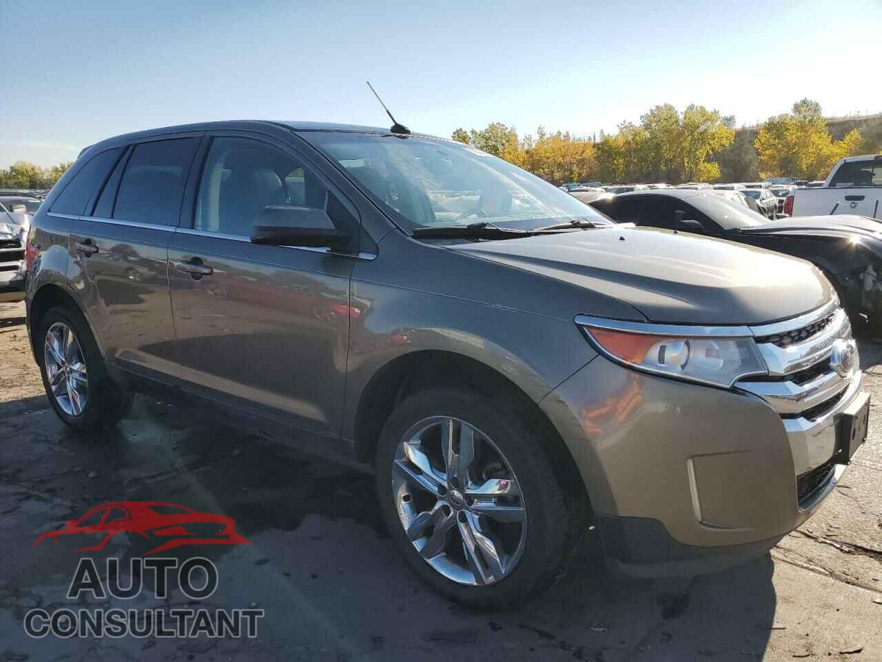 FORD EDGE 2013 - 2FMDK4KC2DBC66422