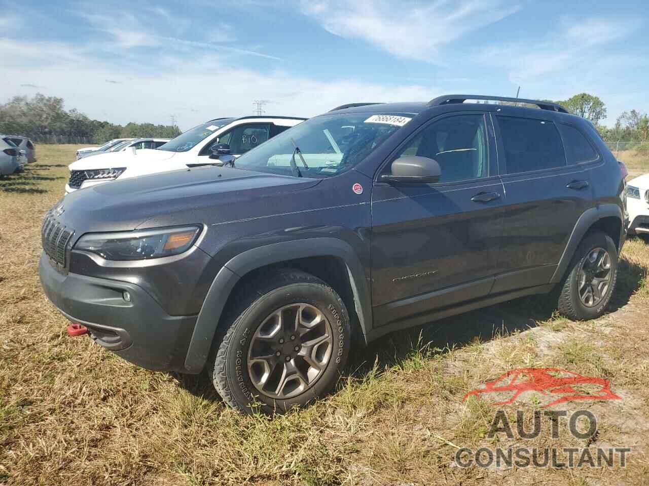 JEEP CHEROKEE 2019 - 1C4PJMBX6KD401691