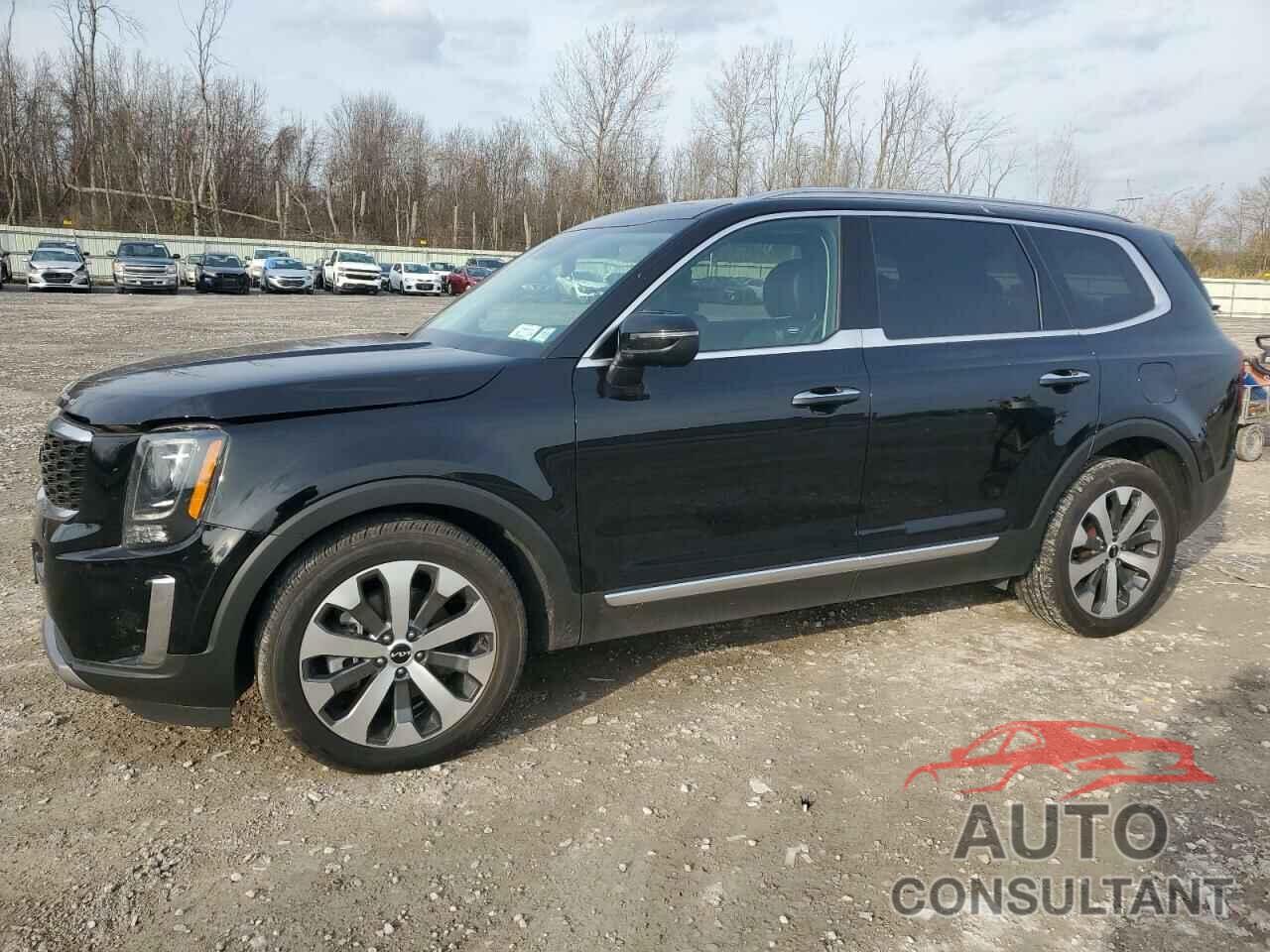 KIA TELLURIDE 2022 - 5XYP6DHC5NG289106