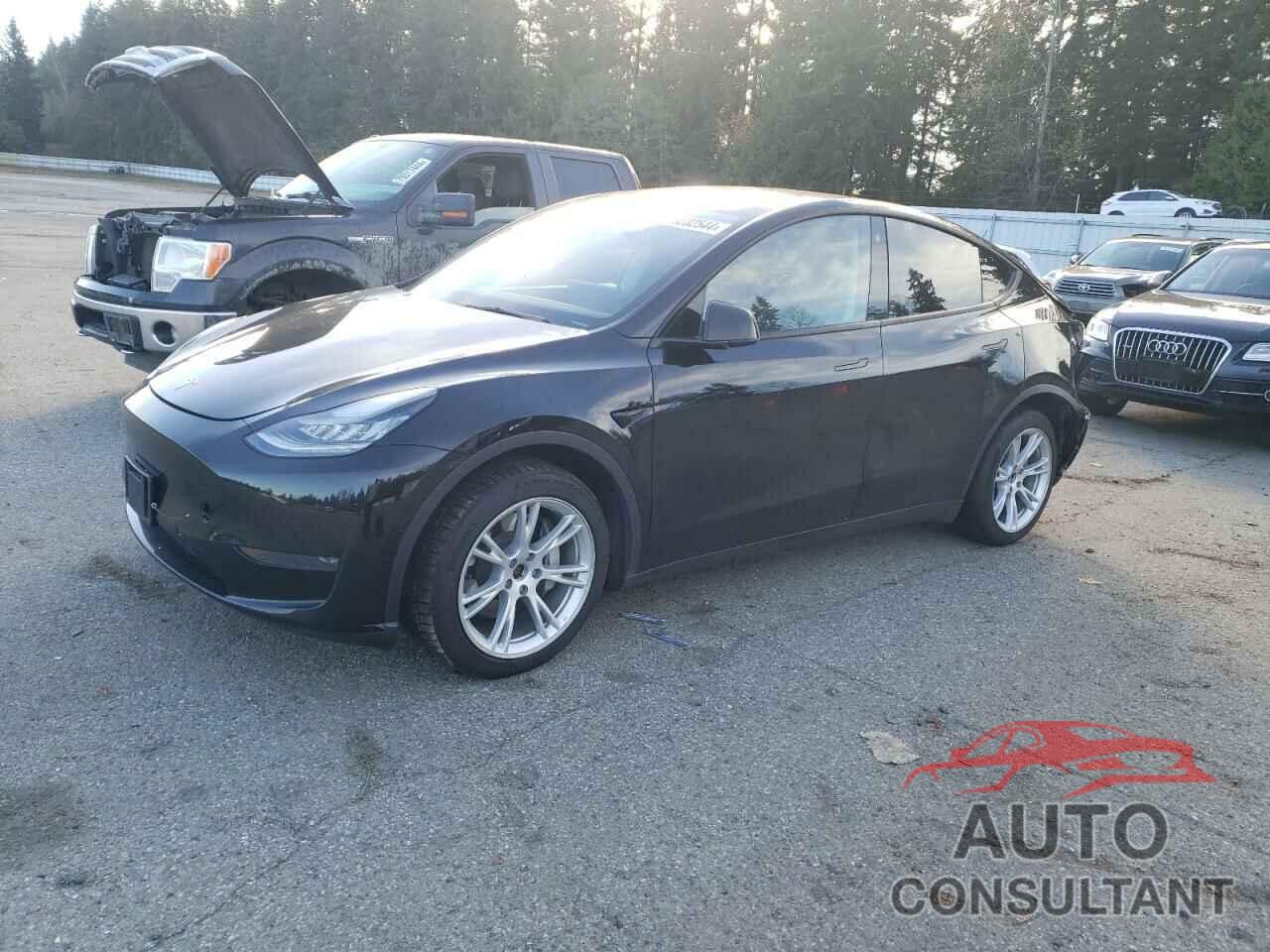 TESLA MODEL Y 2021 - 5YJYGDEE6MF091566