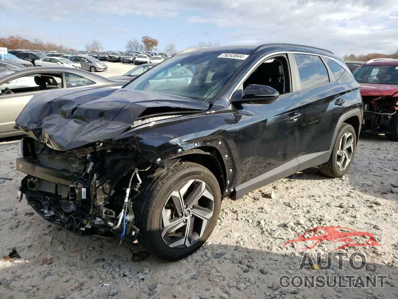 HYUNDAI TUCSON 2023 - 5NMJFCAE2PH186035