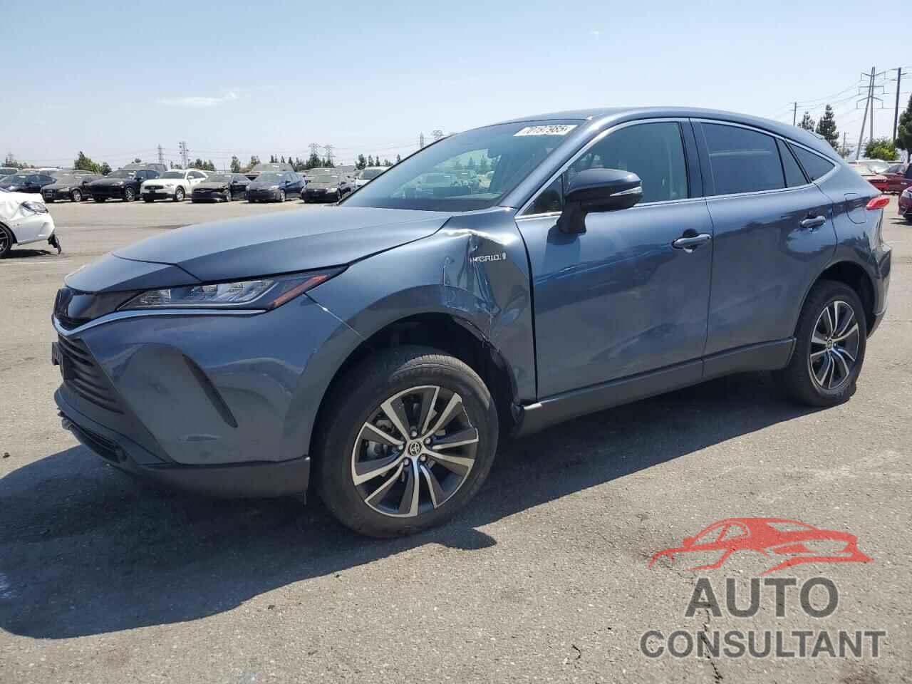 TOYOTA VENZA 2021 - JTEAAAAH8MJ080185