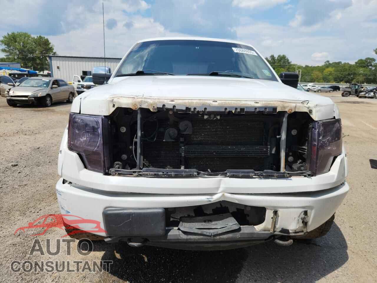 FORD F-150 2010 - 1FTEW1E82AFD78490