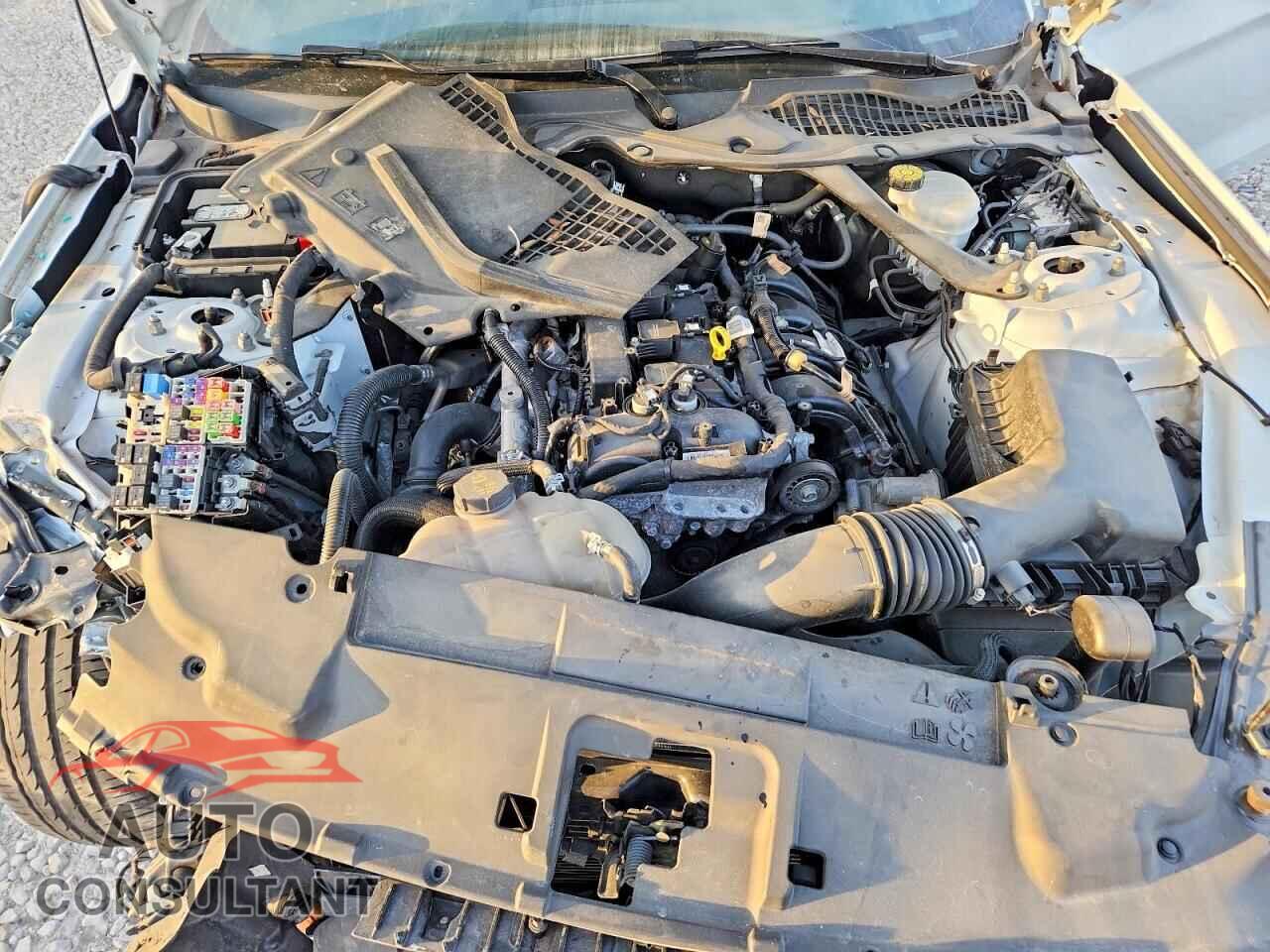 FORD MUSTANG 2023 - 1FATP8UH4P5105652