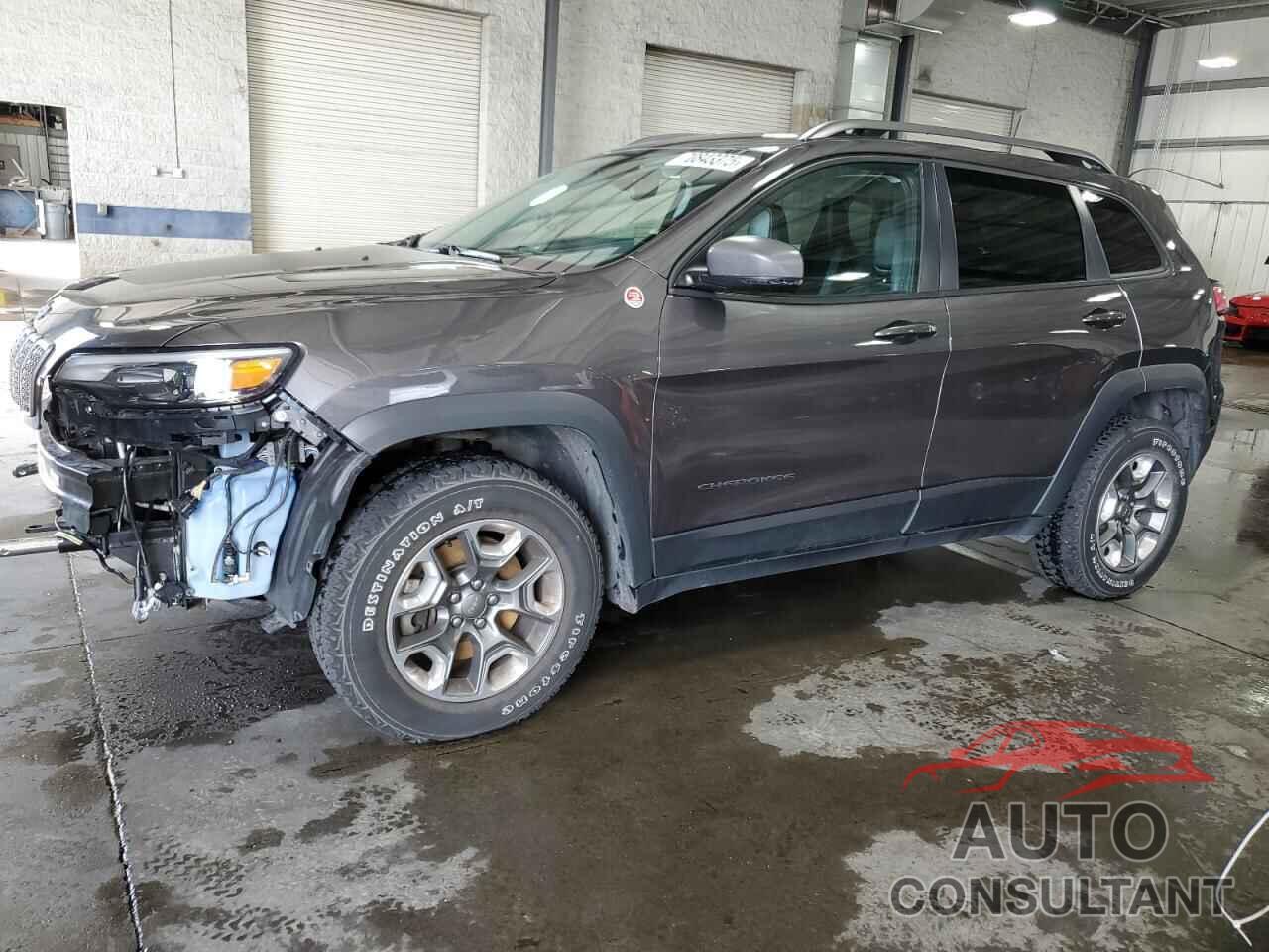 JEEP CHEROKEE 2019 - 1C4PJMBX4KD391999