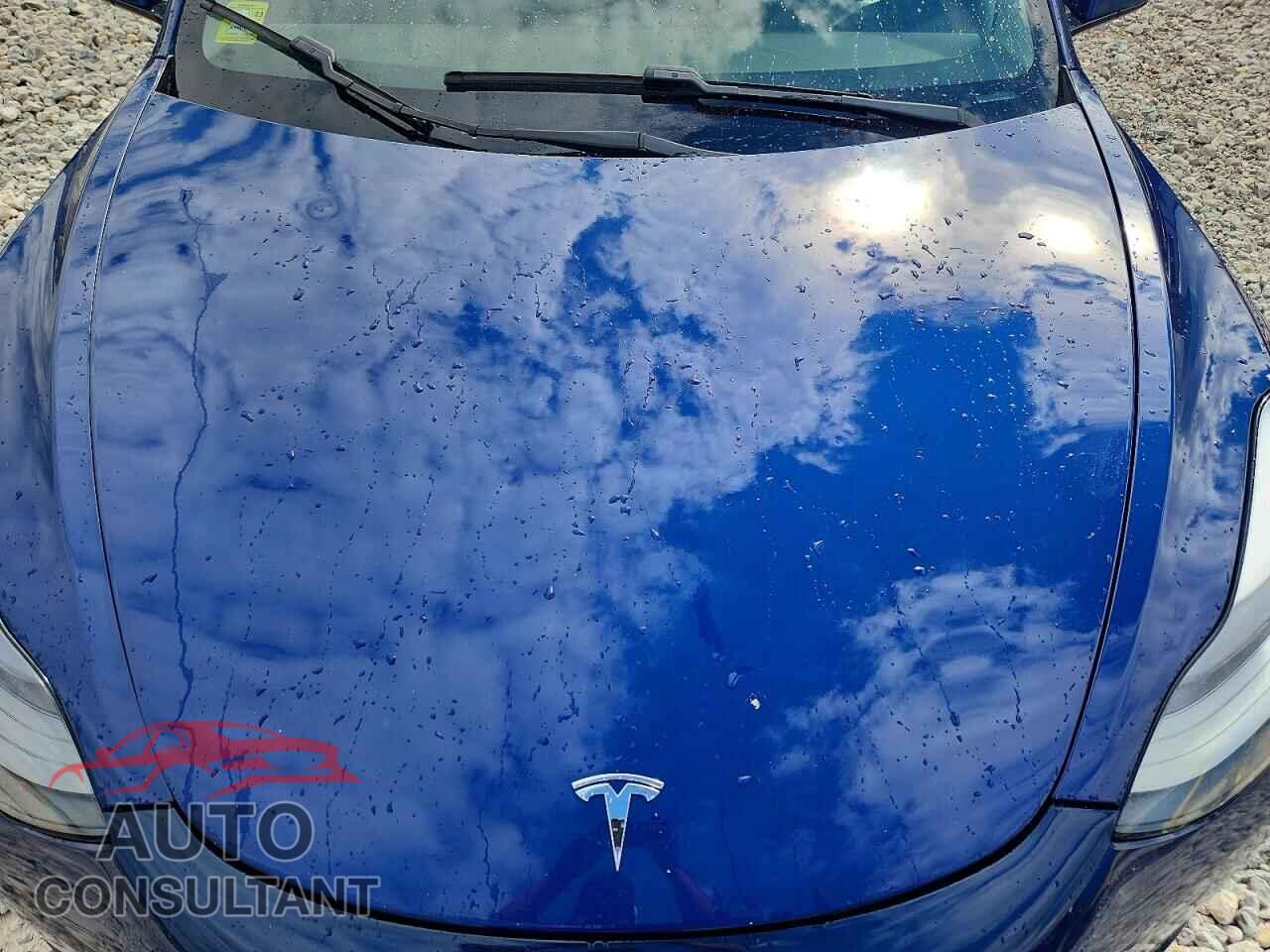 TESLA MODEL 3 2021 - 5YJ3E1EB2MF983317