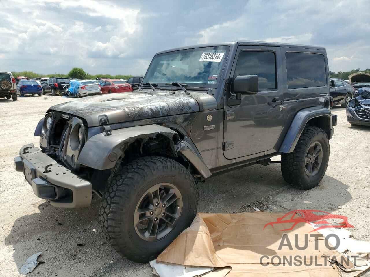 JEEP WRANGLER 2016 - 1C4AJWBG9GL217974