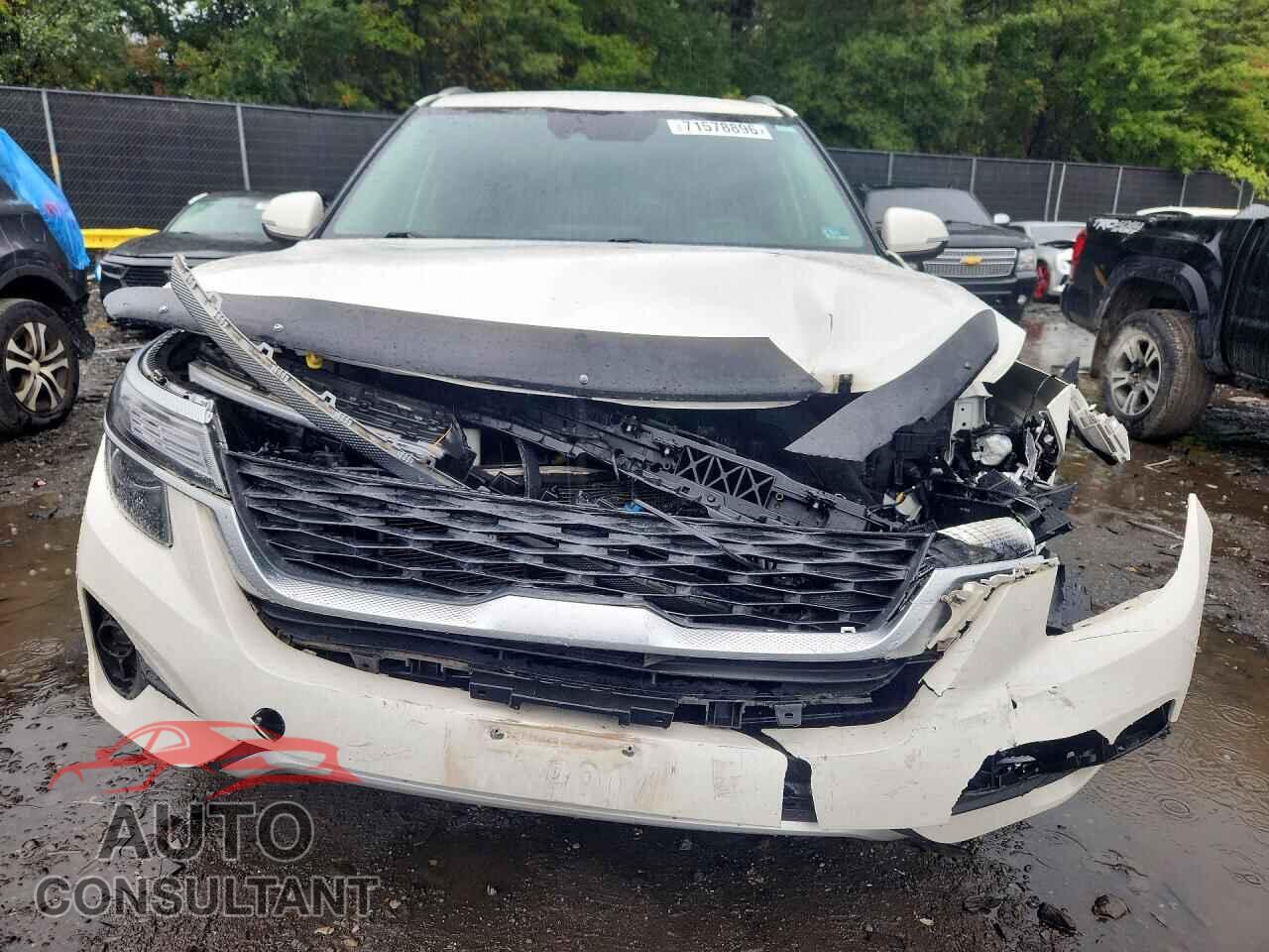 KIA SELTOS 2021 - KNDERCAA6M7184619