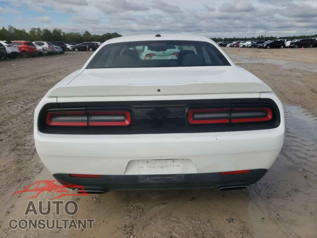 DODGE CHALLENGER 2019 - 2C3CDZBT5KH708440