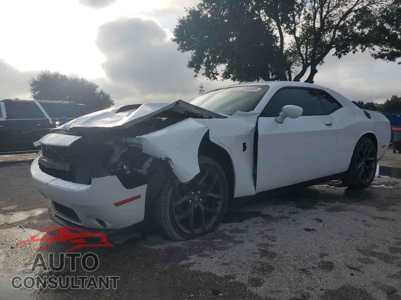 DODGE CHALLENGER 2020 - 2C3CDZAG5LH174314