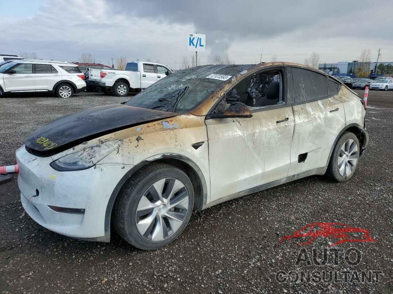 TESLA MODEL Y 2021 - 5YJYGDEE5MF123052