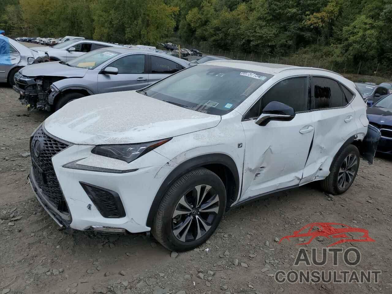 LEXUS NX 300 F S 2020 - JTJSARDZ0L2233918