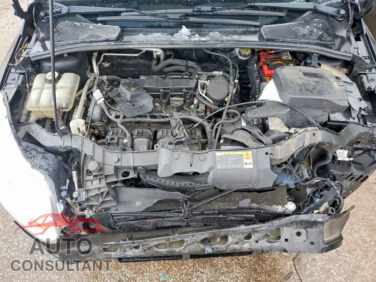 FORD FOCUS 2012 - 1FAHP3E21CL225496