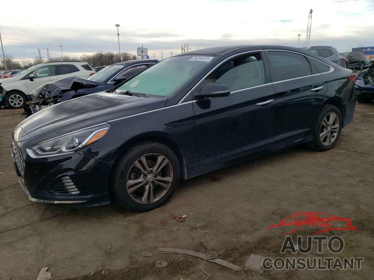 HYUNDAI SONATA 2019 - 5NPE34AF1KH775470