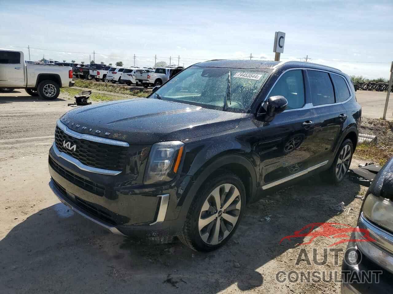 KIA TELLURIDE 2022 - 5XYP34HC6NG292427