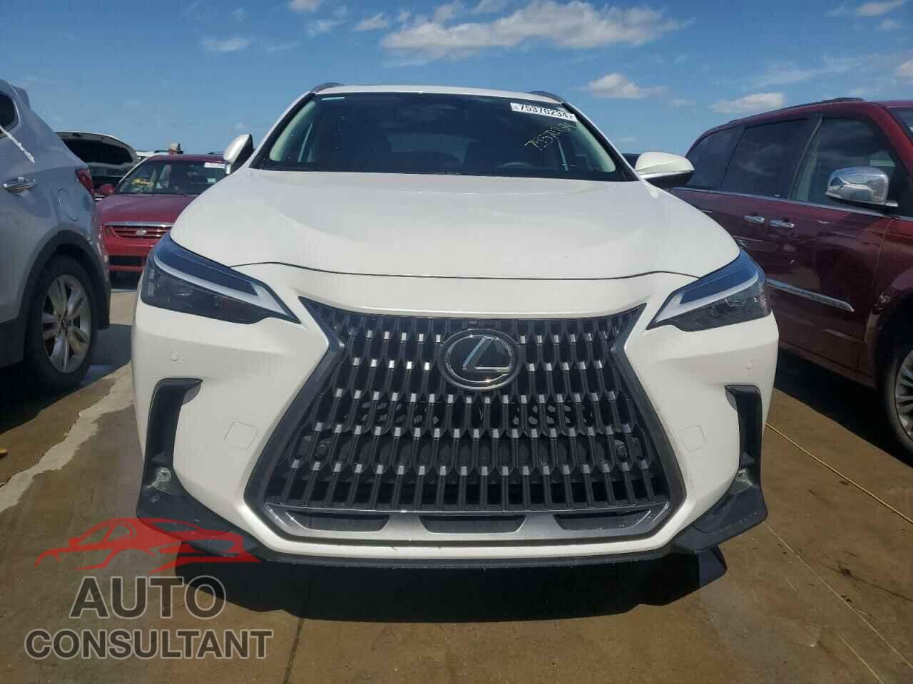 LEXUS NX 250 PRE 2024 - 2T2GDCAZ7RC007723