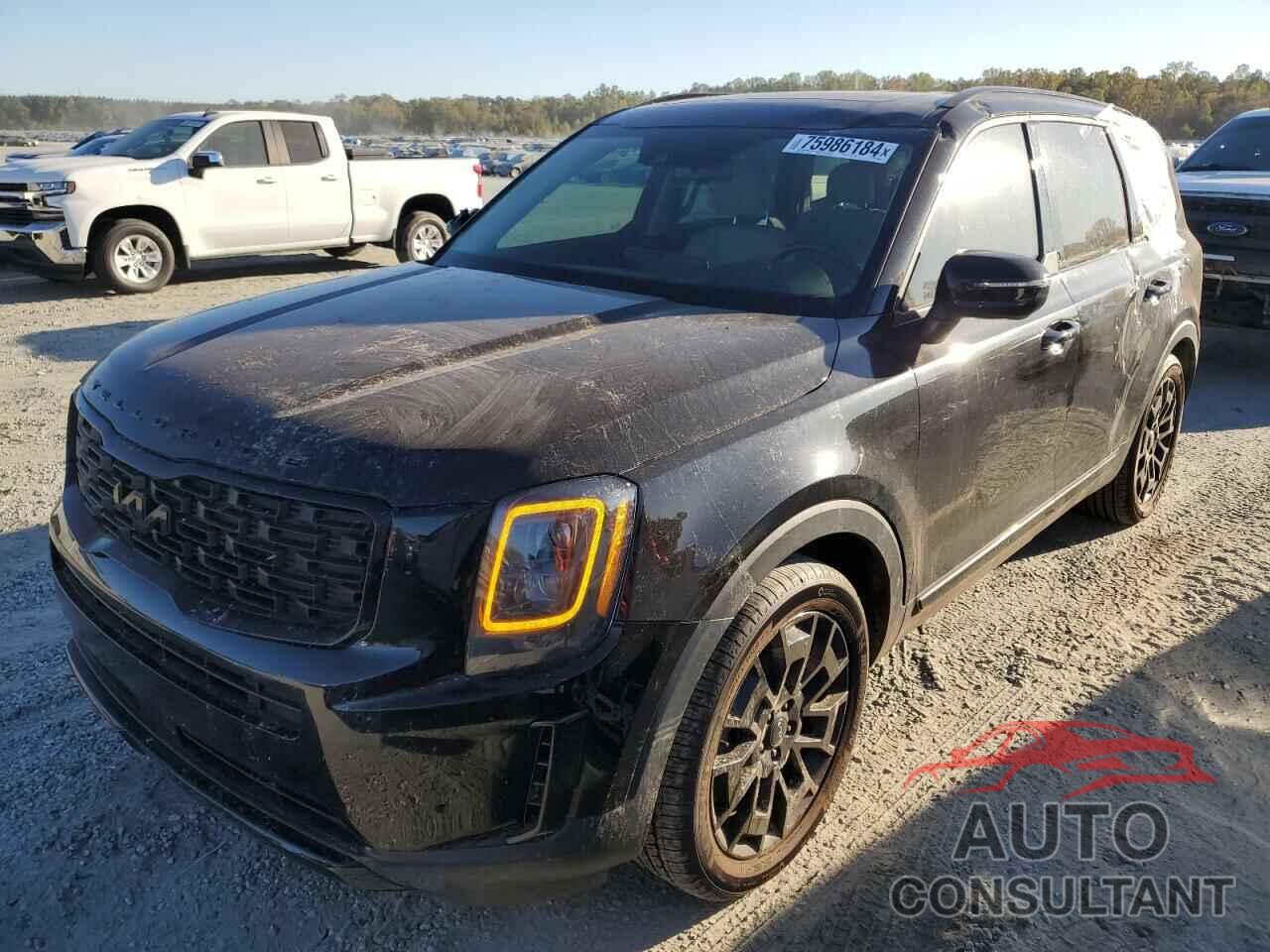 KIA TELLURIDE 2022 - 5XYP3DHC0NG200325