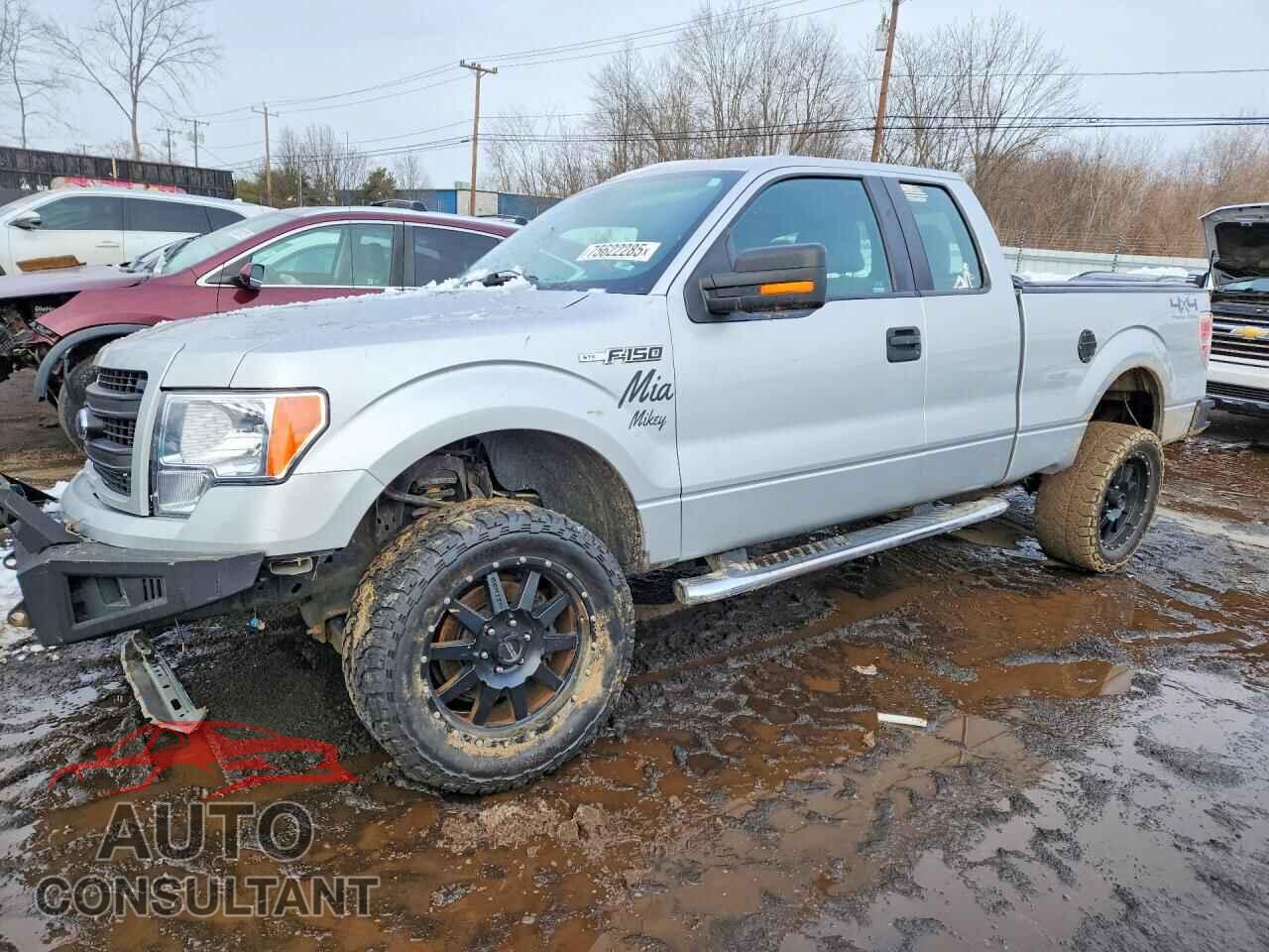 FORD F-150 2013 - 1FTFX1EF3DFD73531