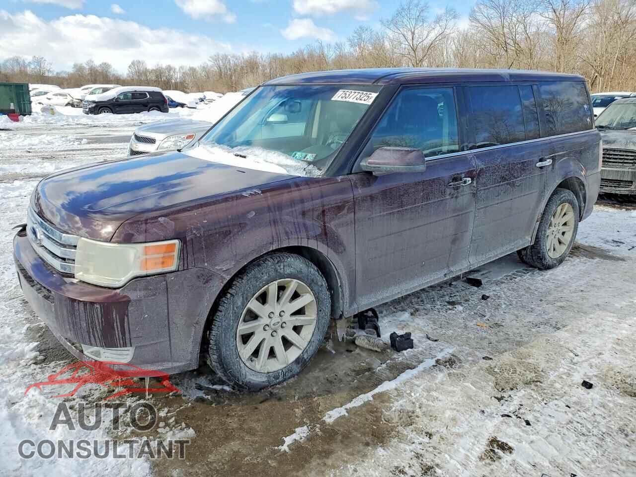 FORD FLEX 2009 - 2FMEK62C59BA12629