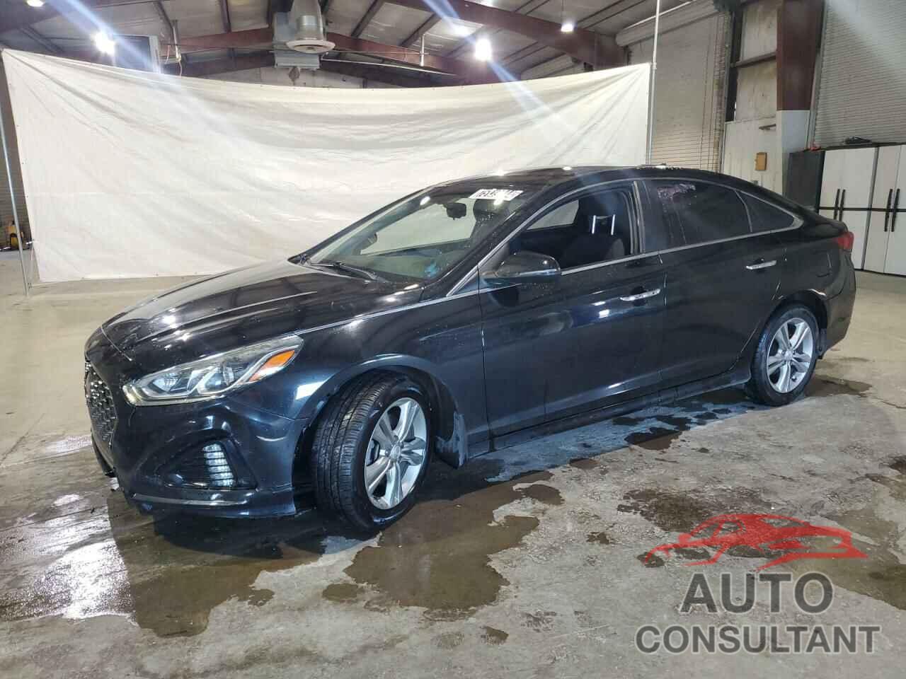 HYUNDAI SONATA 2019 - 5NPE34AF0KH781714