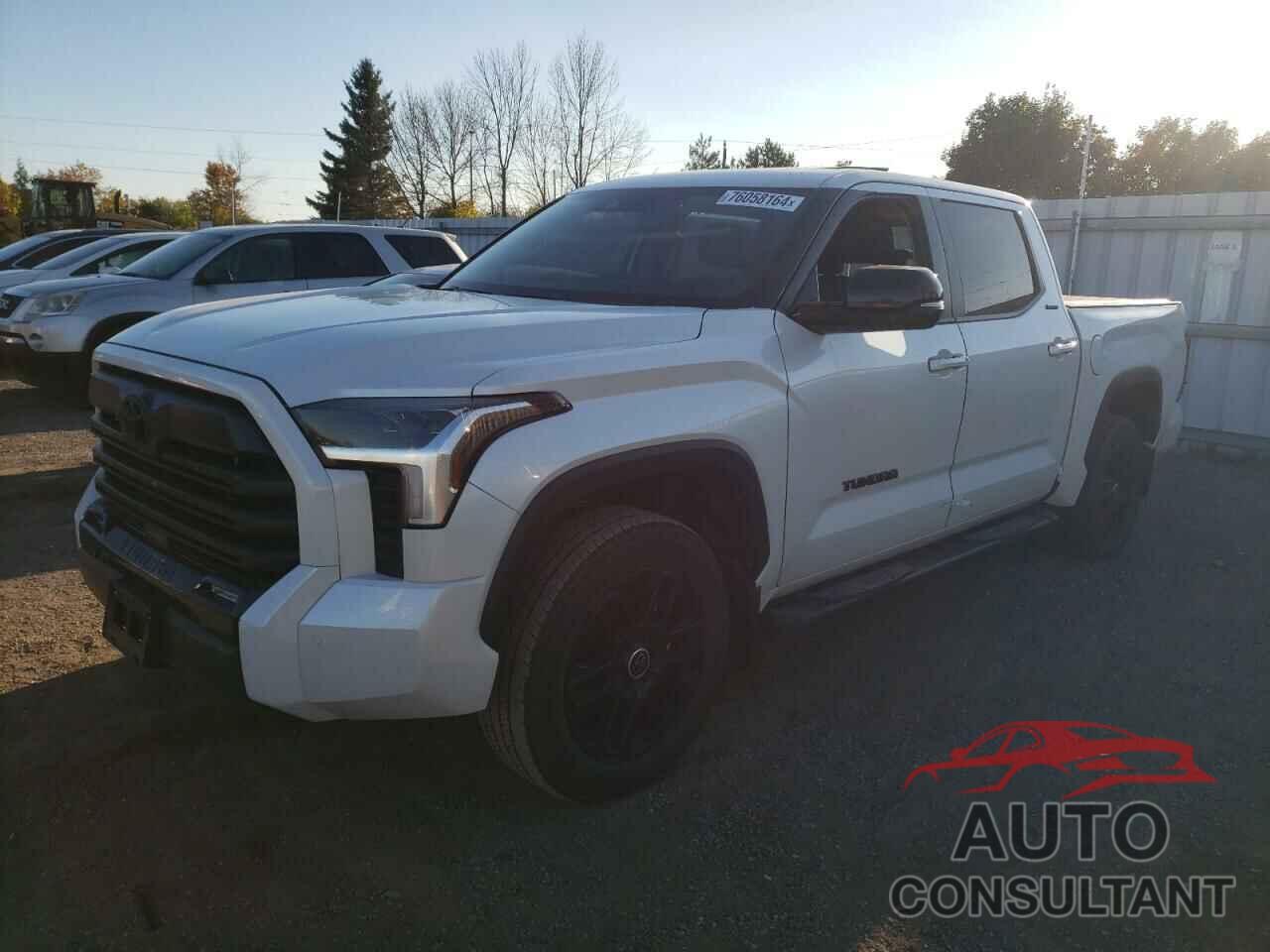 TOYOTA TUNDRA 2024 - 5TFWA5DB2RX160644