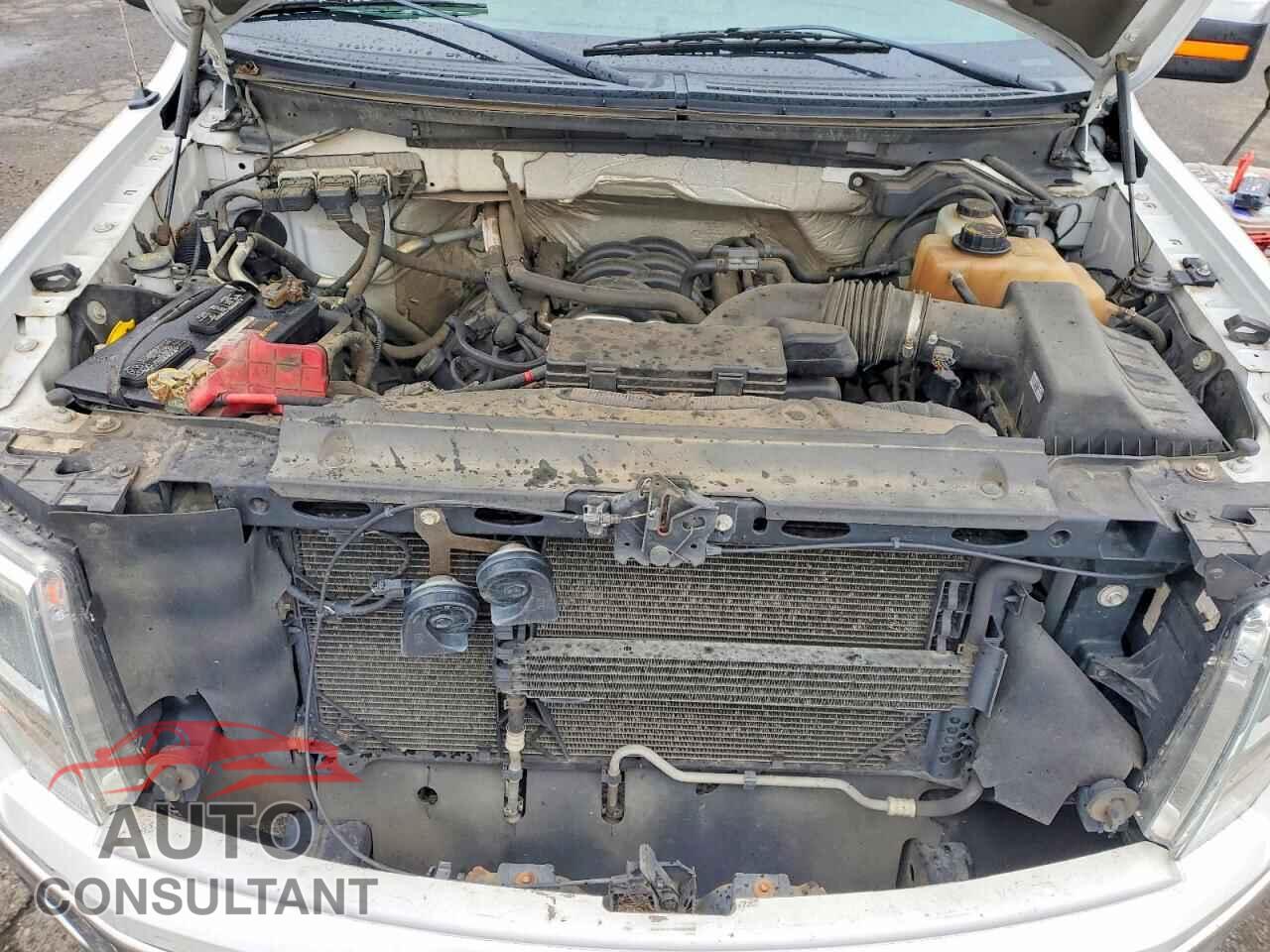 FORD F-150 2013 - 1FTFX1EF6DFA93134