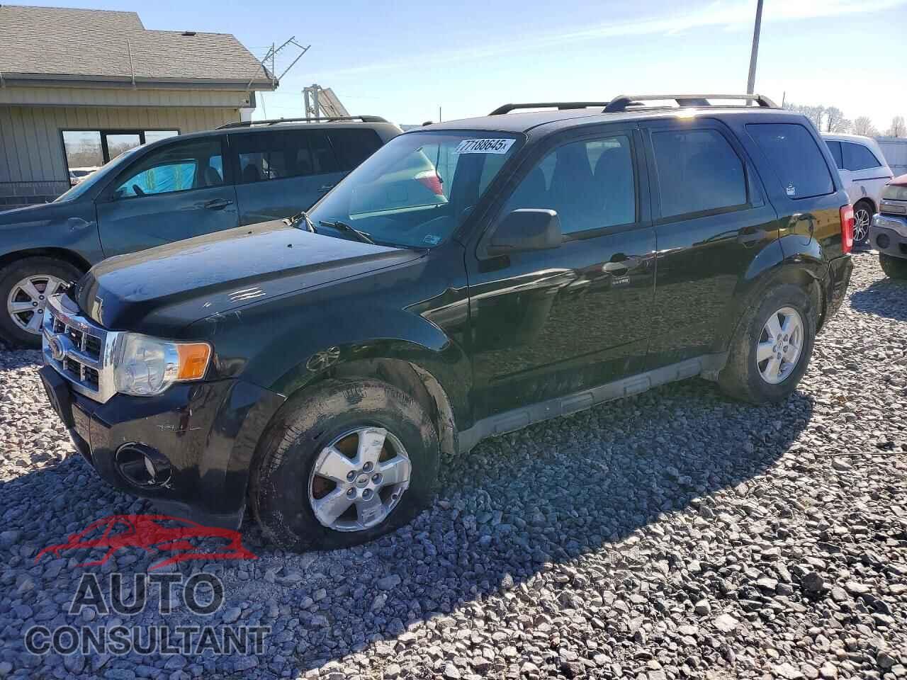 FORD ESCAPE 2010 - 1FMCU0D77AKB32005