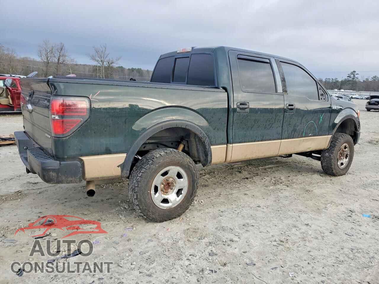 FORD F-150 2013 - 1FTFW1EF8DFD91896