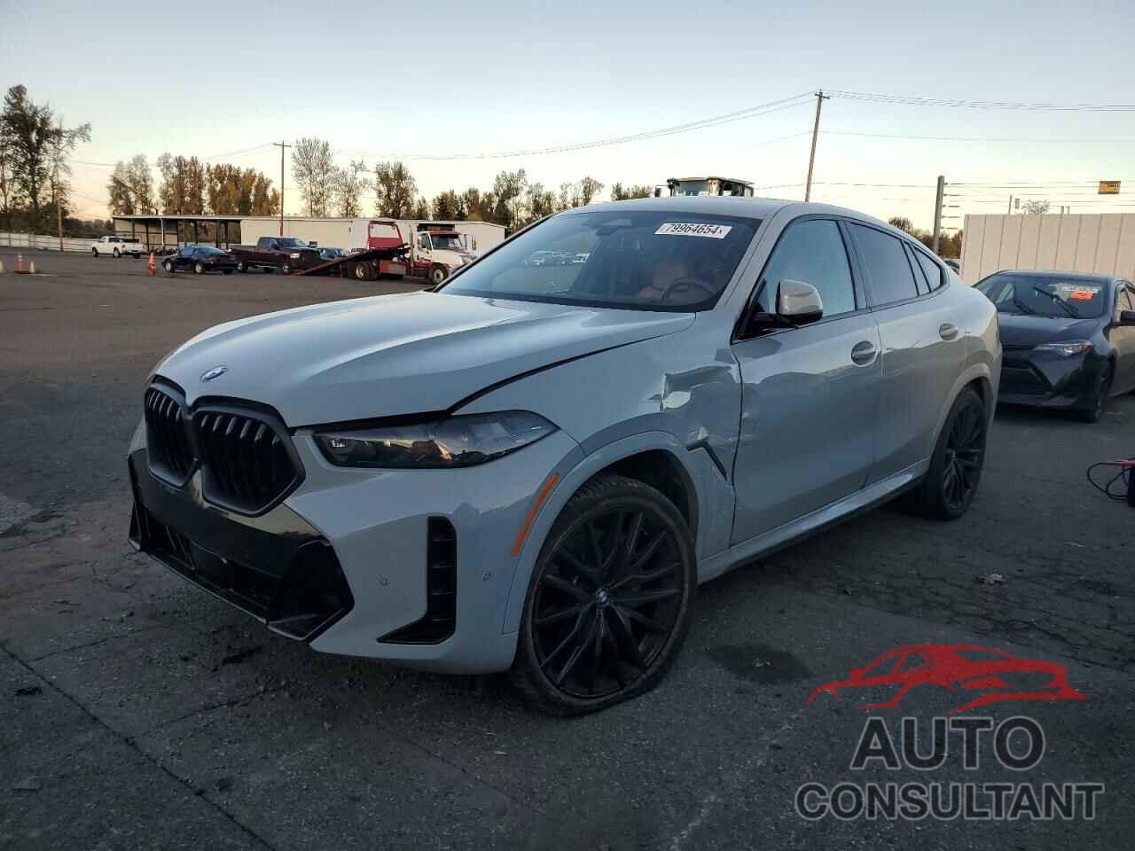 BMW X6 2024 - 5UX33EX02R9U54152