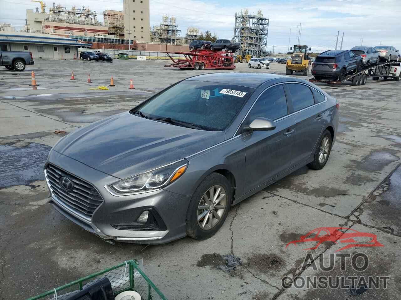 HYUNDAI SONATA 2019 - 5NPE24AF4KH762392