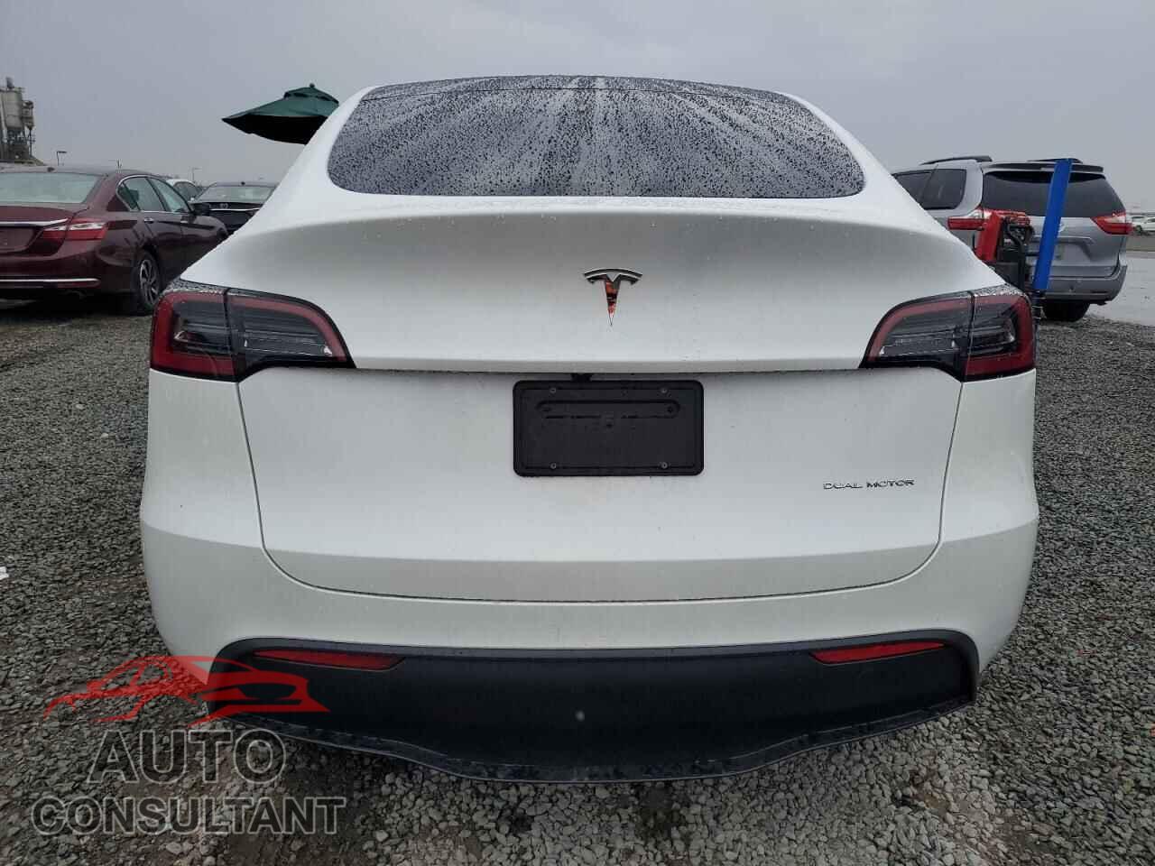 TESLA MODEL Y 2024 - 7SAYGDEEXRF071461