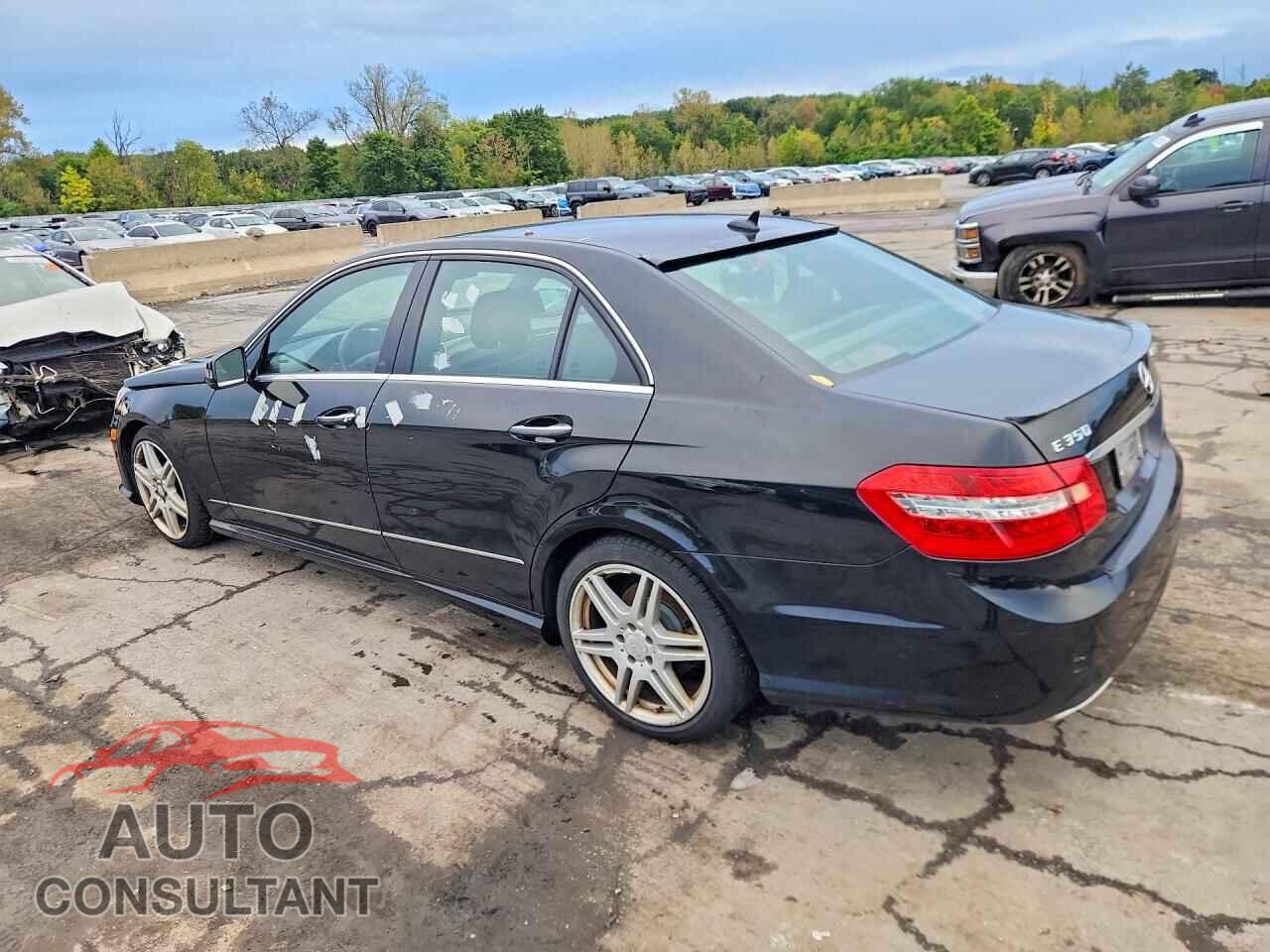 MERCEDES-BENZ E-CLASS 2010 - WDDHF8HB9AA259271