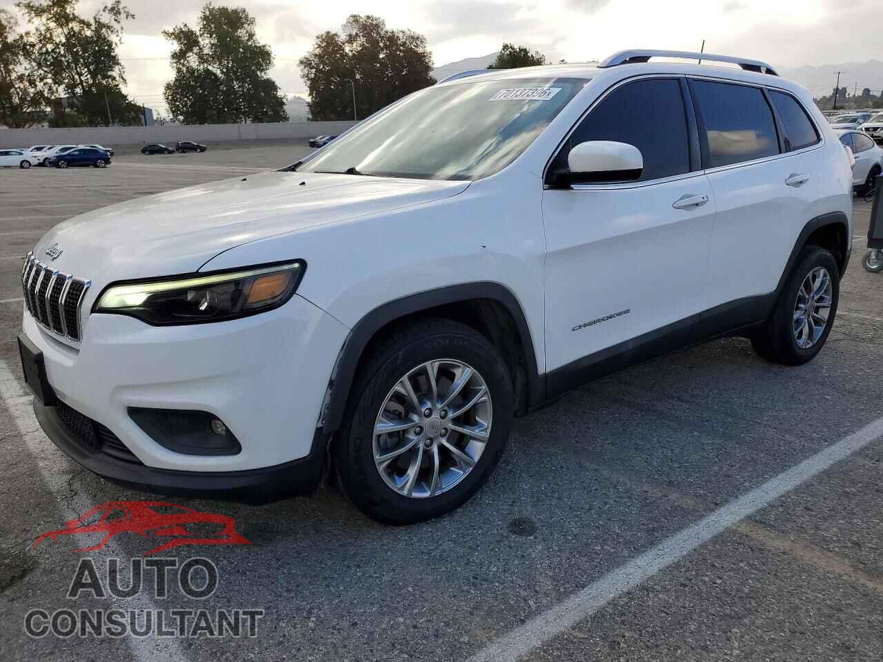 JEEP CHEROKEE 2019 - 1C4PJLLB2KD219998