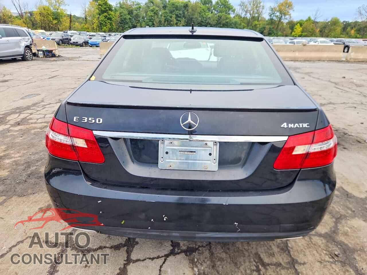 MERCEDES-BENZ E-CLASS 2010 - WDDHF8HB9AA259271