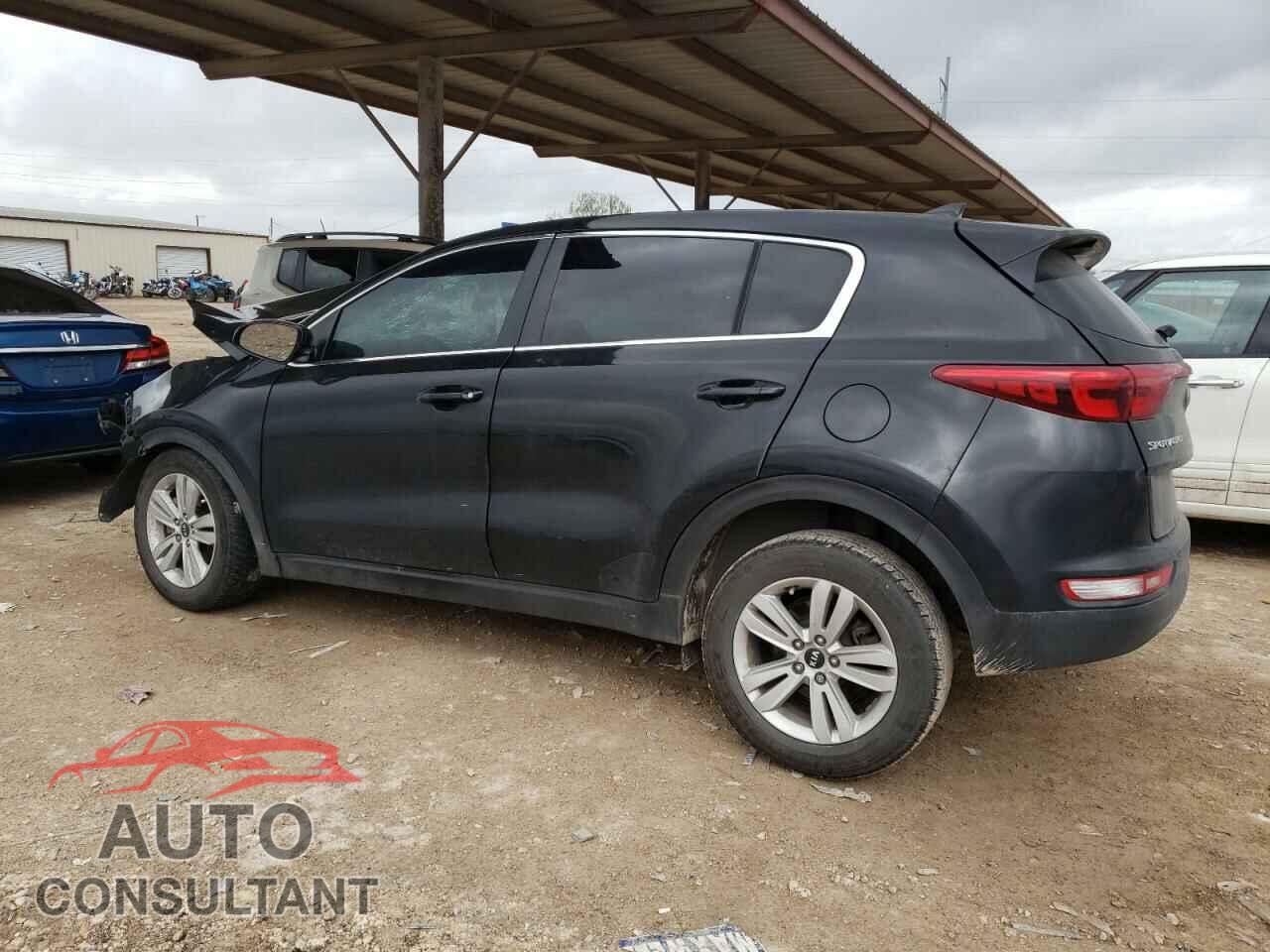 KIA SPORTAGE 2017 - KNDPM3AC5H7205619