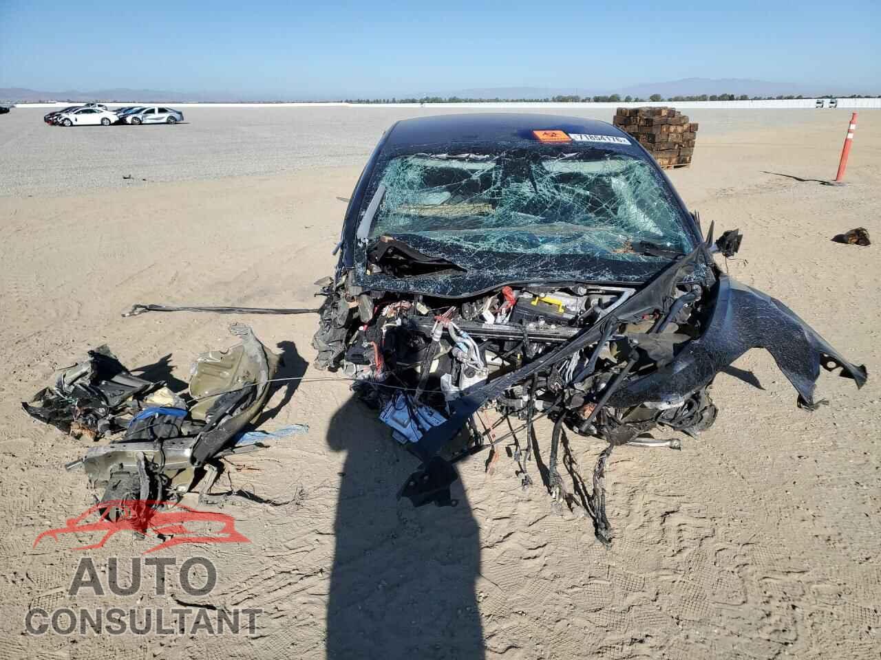 TESLA MODEL 3 2019 - 5YJ3E1EA9KF297893