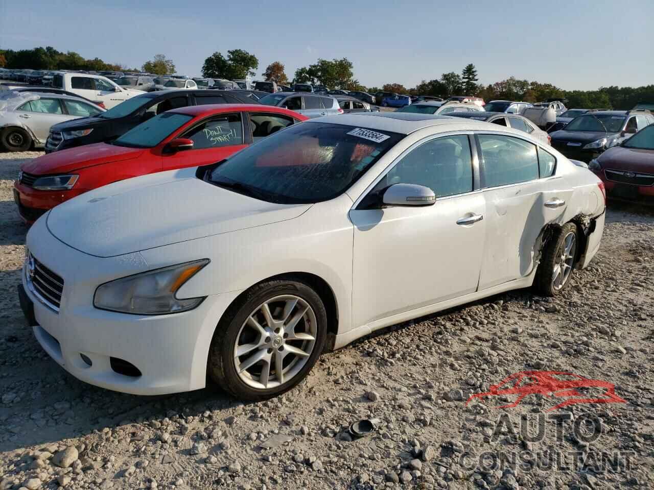 NISSAN MAXIMA 2010 - 1N4AA5AP1AC808048