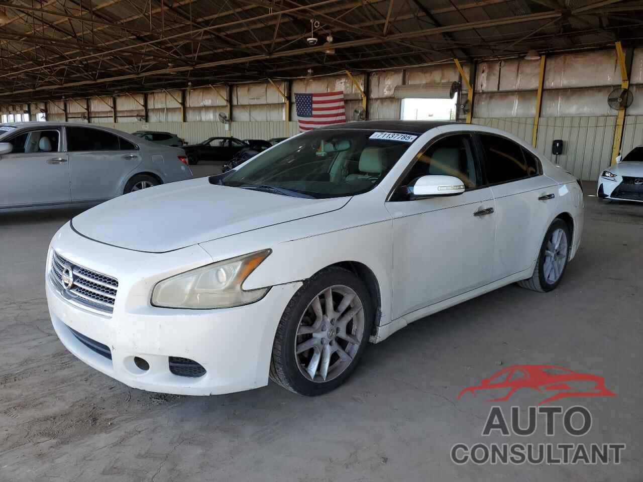NISSAN MAXIMA 2010 - 1N4AA5AP4AC805239