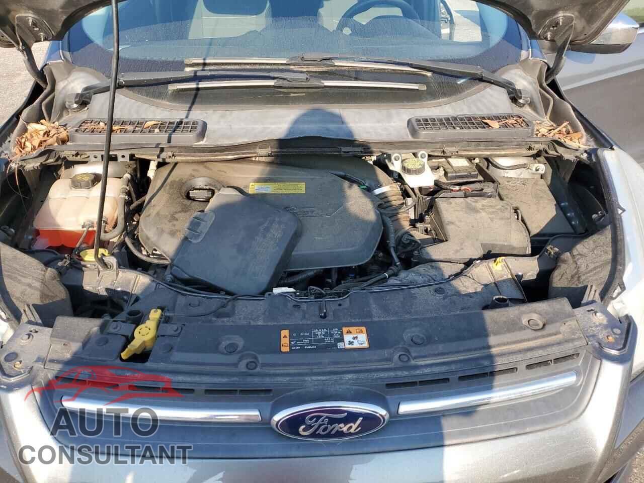 FORD ESCAPE 2014 - 1FMCU0GX4EUD02469