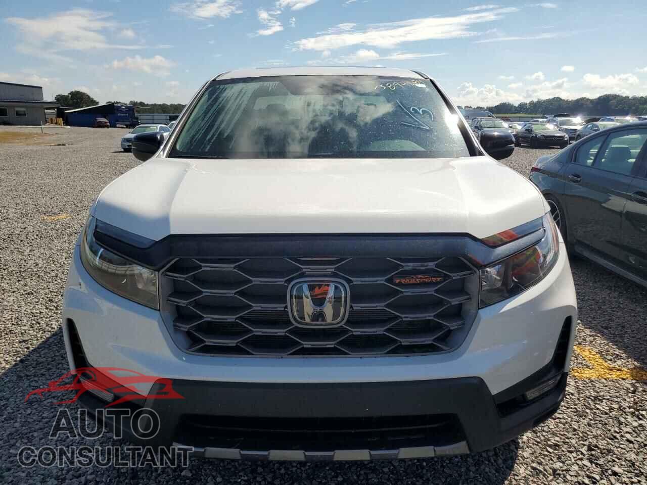 HONDA RIDGELINE 2024 - 5FPYK3F63RB005077