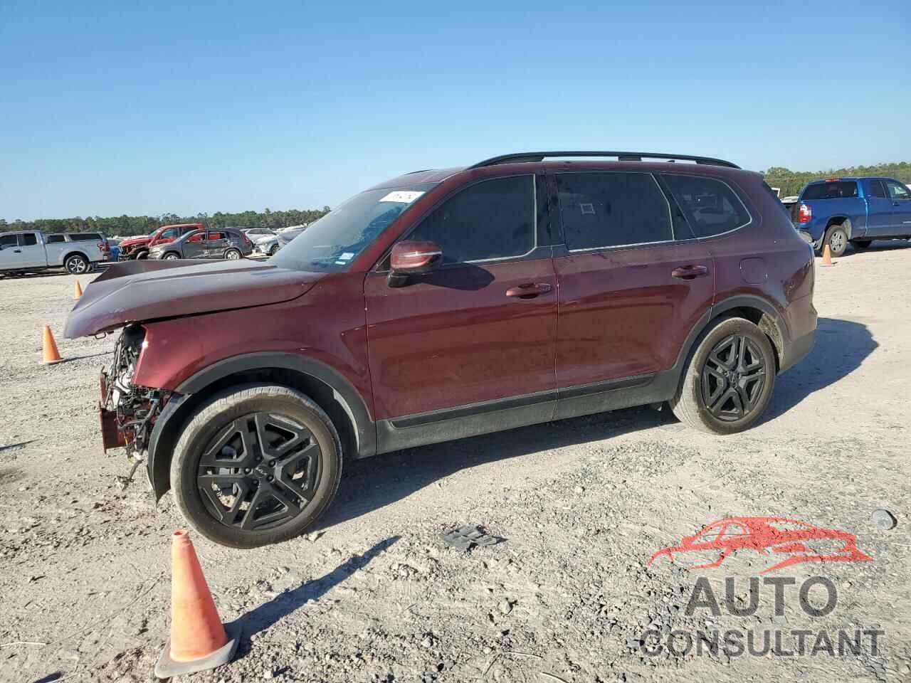 KIA TELLURIDE 2024 - 5XYP5DGC5RG505370