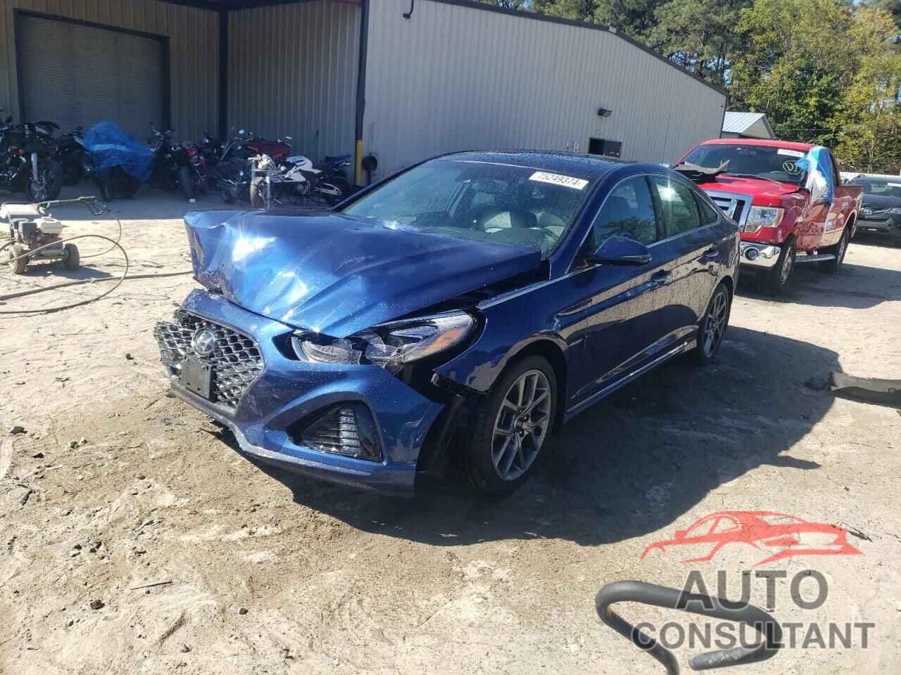 HYUNDAI SONATA 2019 - 5NPE34AB6KH820660