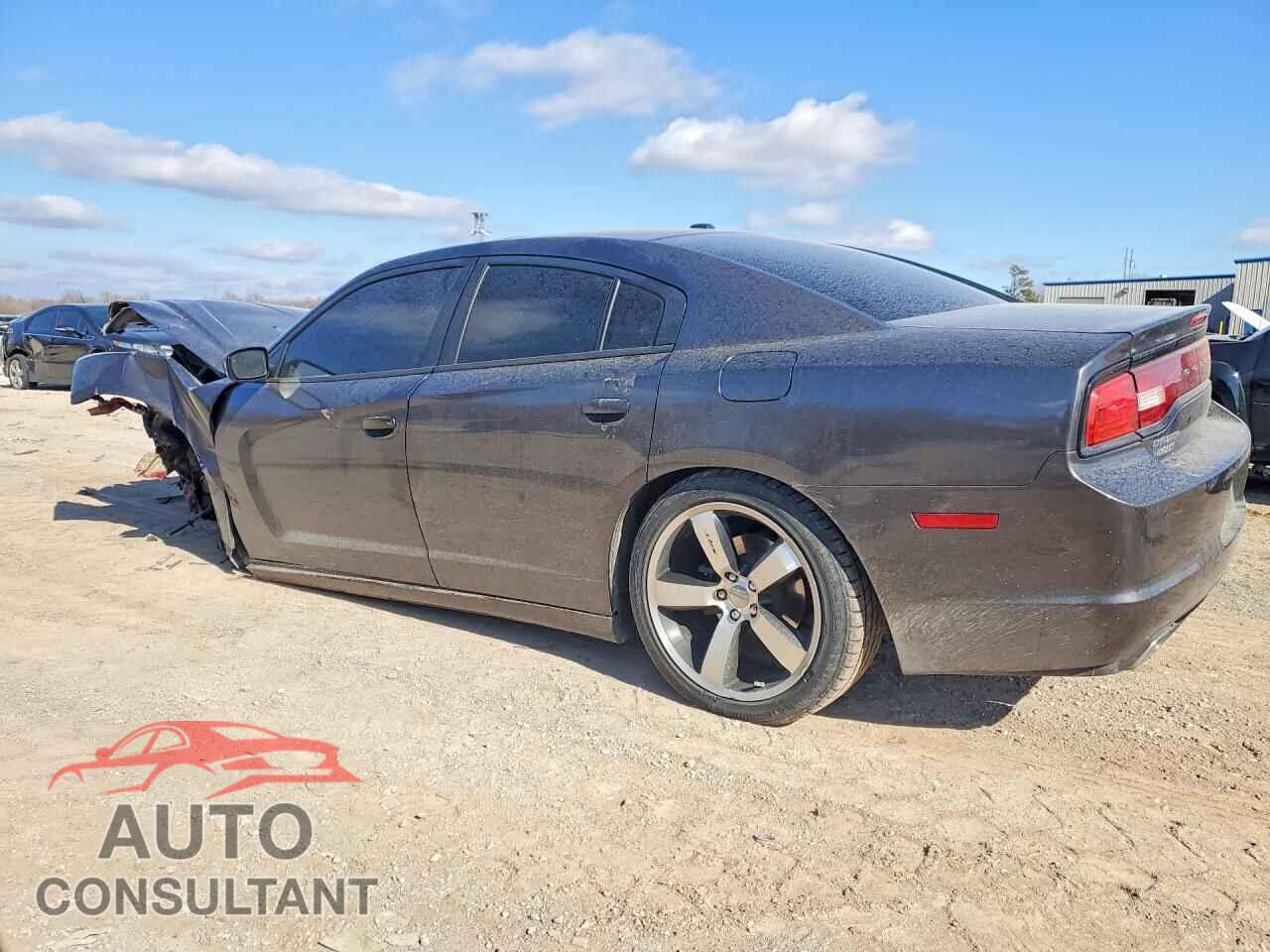 DODGE CHARGER 2014 - 2C3CDXCT0EH337971