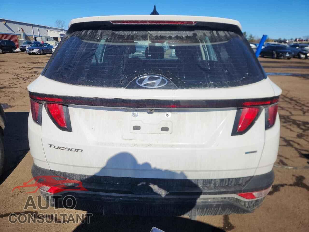 HYUNDAI TUCSON 2023 - 5NMJACAE2PH241663