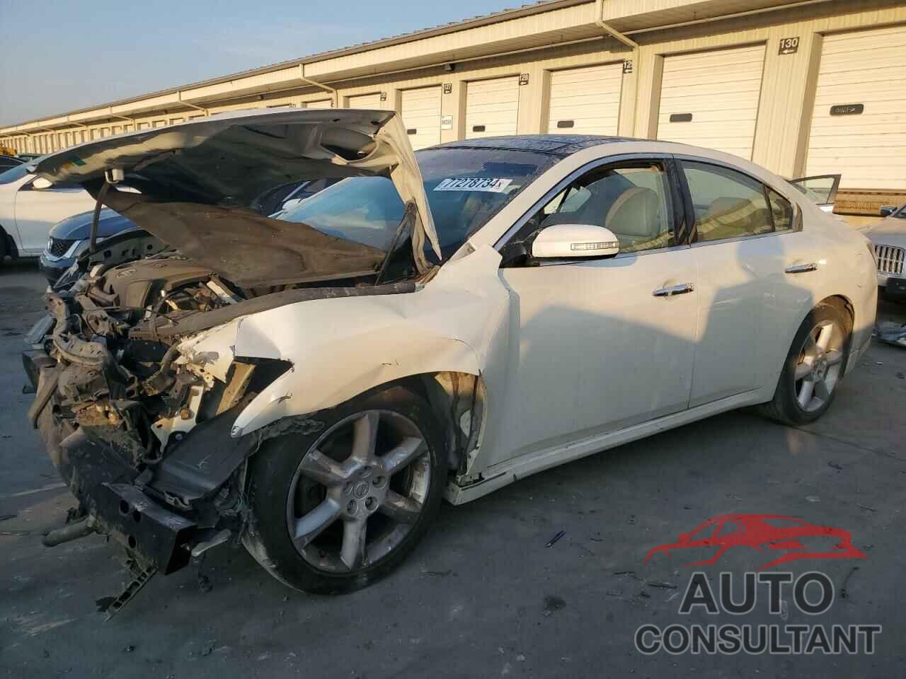 NISSAN MAXIMA 2013 - 1N4AA5AP3DC836700