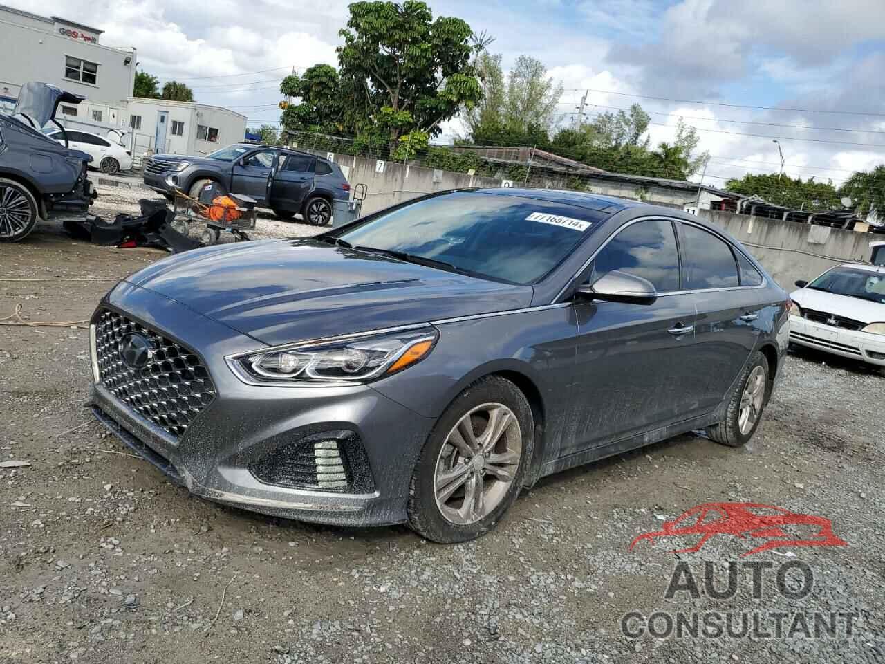 HYUNDAI SONATA 2019 - 5NPE34AF2KH729551