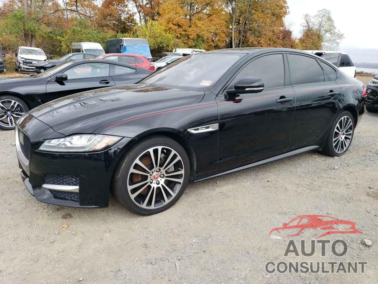 JAGUAR XF 2017 - SAJBL4BV1HCY31583