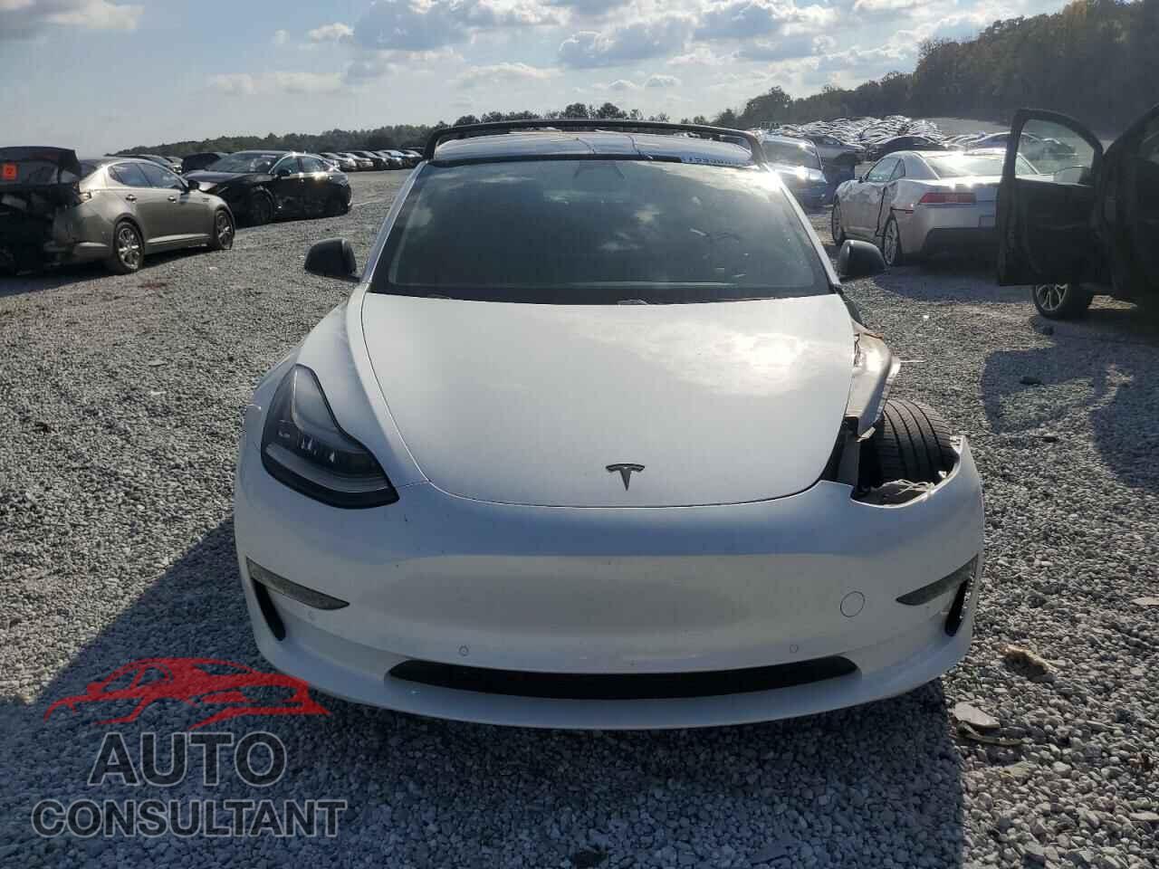 TESLA MODEL 3 2019 - 5YJ3E1EA9KF464348